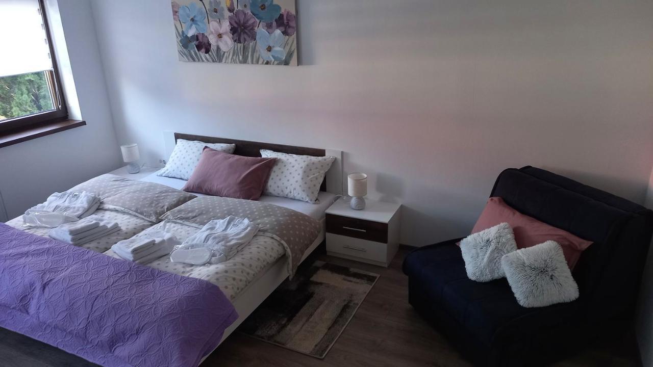 Appartement Gogo à Delnice Extérieur photo